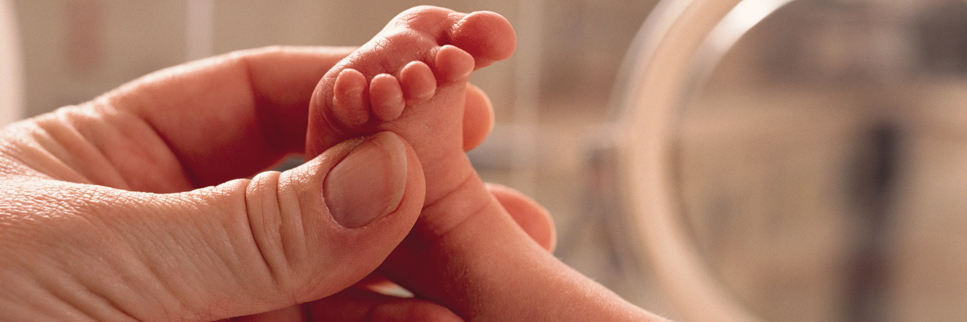Very Small Foot of a baby in the incubator